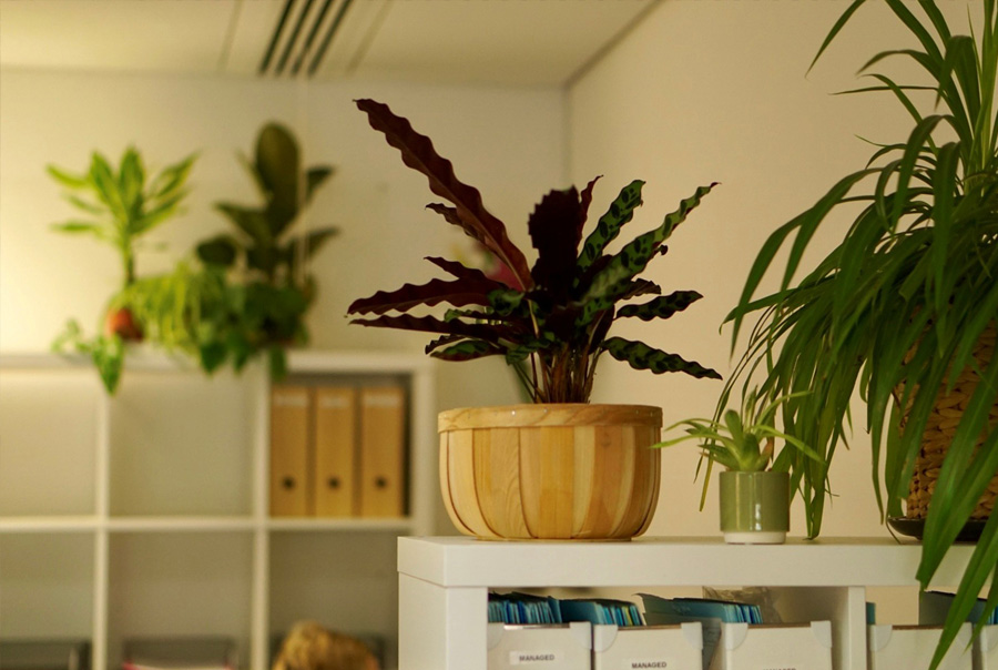 Established in 2013 – Offering Lettings & Estate Agency Services